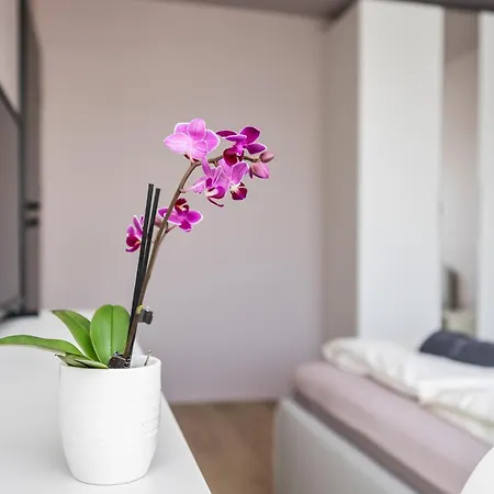 Goldenhugo Вільнюс