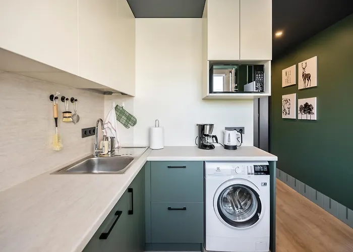 Goldenhugo בית הארחה וילנה