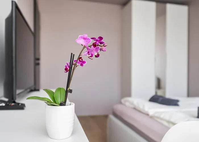 Goldenhugo Βίλνιους